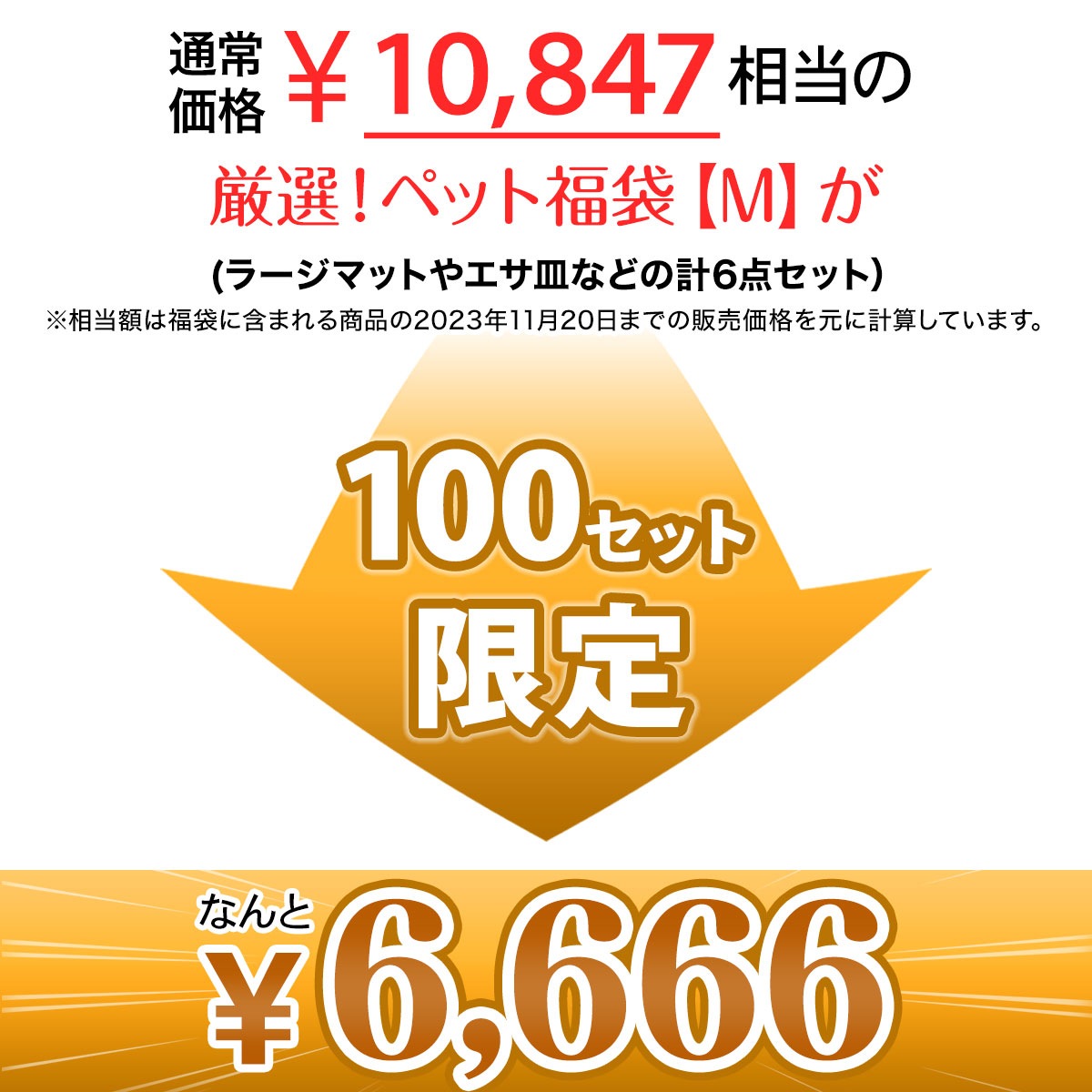 【 2025年 犬 福袋 】 ギフト プレゼント ペット 犬 猫 お楽しみ袋 おしゃれ 秋冬 春夏 ラージマット えさ皿 ランチョンマット ∞型 エサ蓋 シリコンボウル 送料無料 Mサイズ 数量限定 6点セット