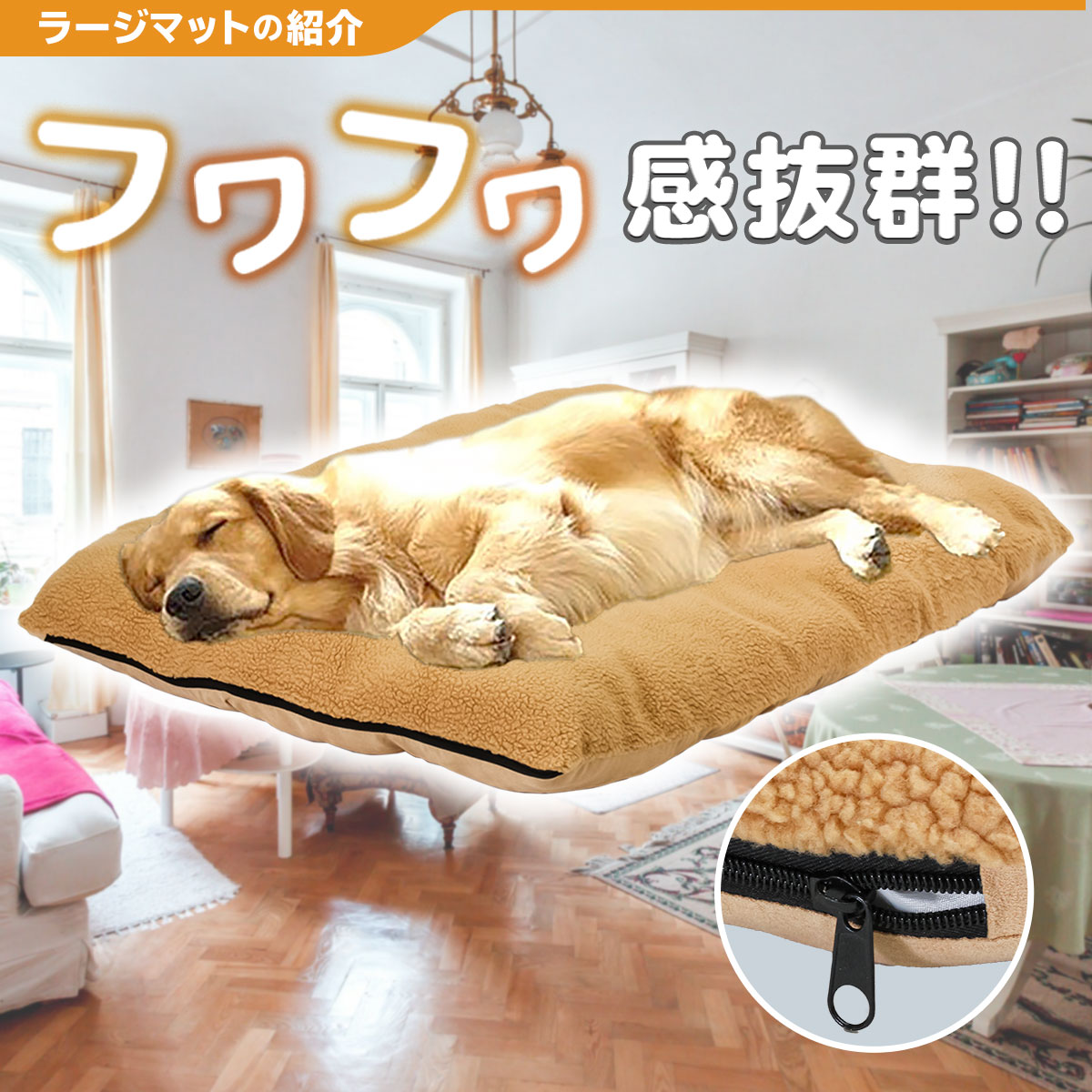 【 2025年 犬 福袋 】 ギフト プレゼント ペット 犬 猫 お楽しみ袋 おしゃれ 秋冬 春夏 ラージマット えさ皿 ランチョンマット ∞型 エサ蓋 シリコンボウル 送料無料 Mサイズ 数量限定 6点セット