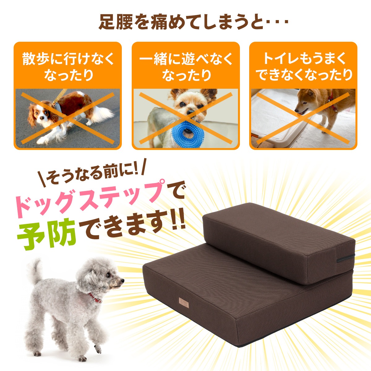 ペット保育園＆ホテル監修】 ドッグステップ 幅広 55cm 犬 階段