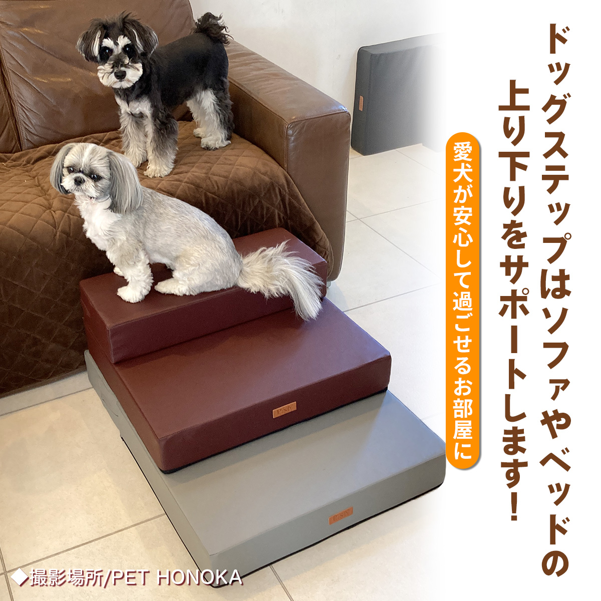 【ペット保育園＆ホテル監修】 ドッグステップ 幅広 55cm 犬 階段 ペット 犬用 ステップ 2段 防水 おしゃれ 送料無料 PVCレザー生地 ソフトタイプ