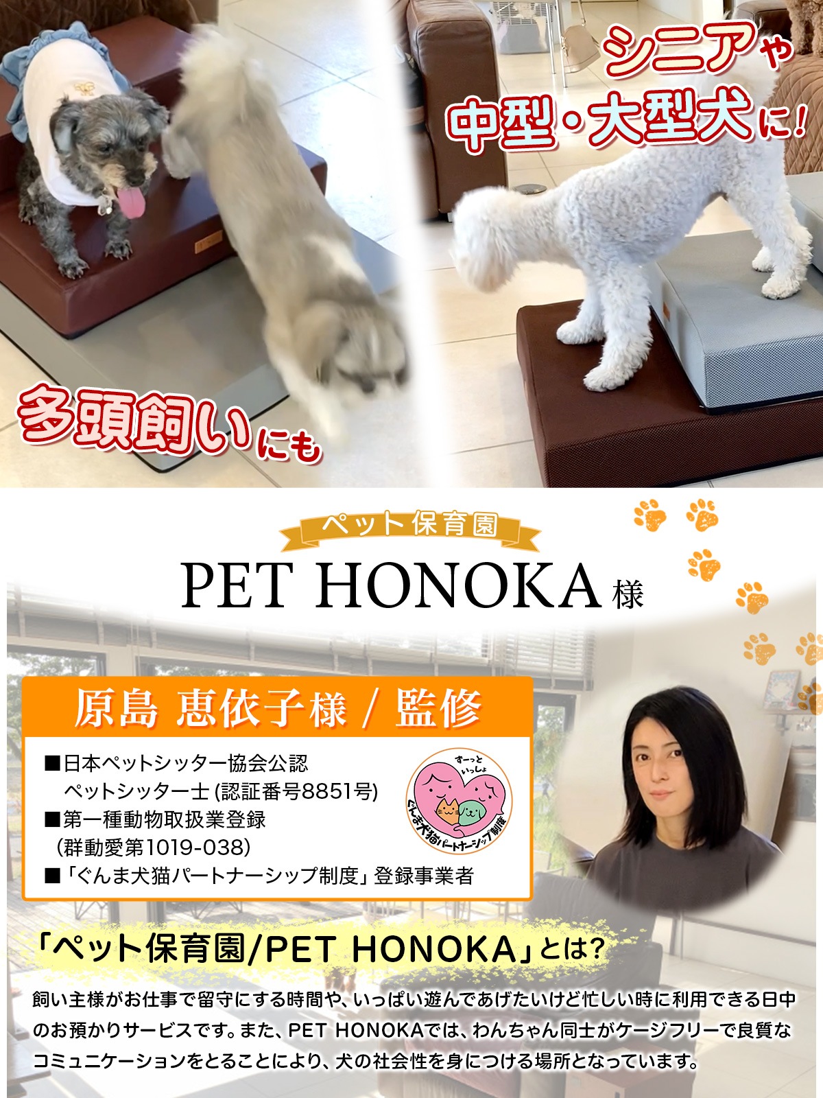 【ペット保育園＆ホテル監修】 ドッグステップ 幅広 55cm 犬 階段 ペット 犬用 ステップ 2段 防水 おしゃれ 送料無料 PVCレザー生地 ソフトタイプ