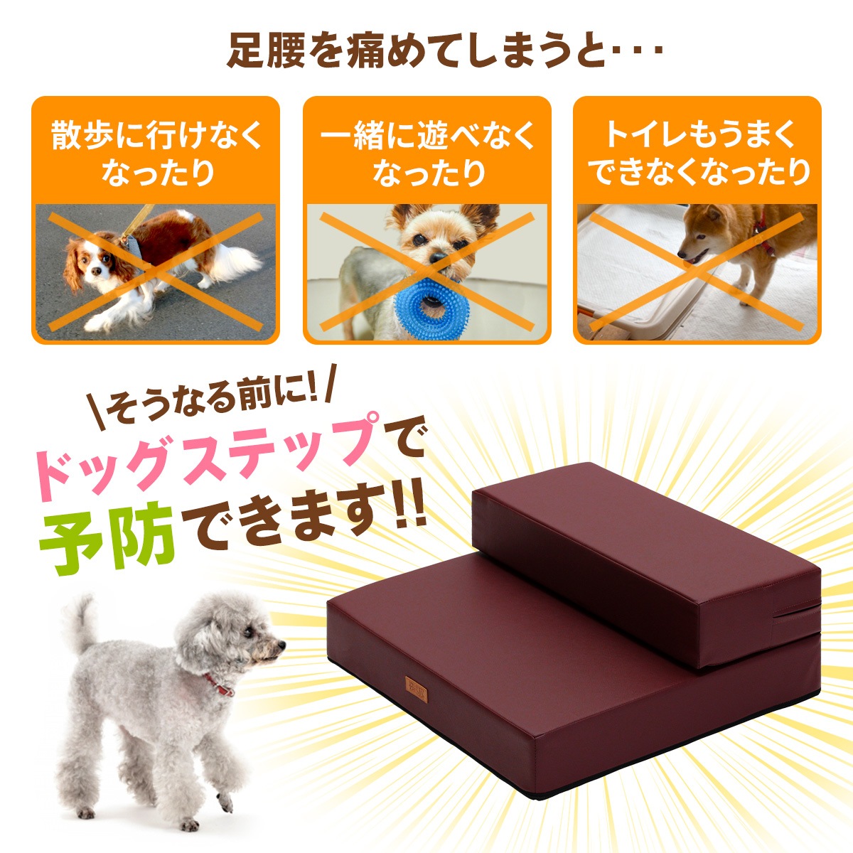 【ペット保育園＆ホテル監修】 ドッグステップ 幅広 55cm 犬 階段 ペット 犬用 ステップ 2段 防水 おしゃれ 送料無料 PVCレザー生地 ソフトタイプ