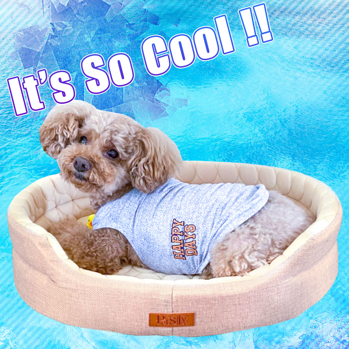 型落ち ペットベッド ひんやり 犬 猫 ベッド ペット マット 夏 犬用 カドラー ネコ 冷感 オシャレ ねこ エリッセ Mサイズ ペット ベッド マット ハウス 夏用 地球問屋