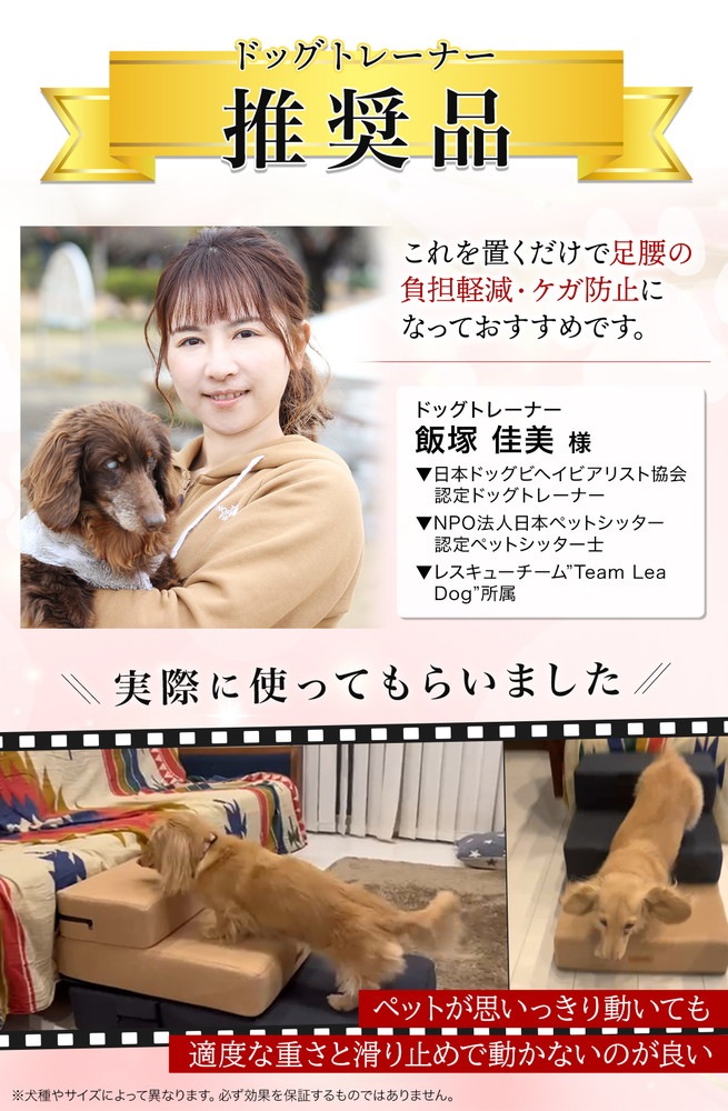 【ドッグトレーナー推奨】 ドッグステップ 犬 階段 ペット 犬用 ステップ 2段 通気性 おしゃれ 送料無料 メッシュ生地 硬めタイプ