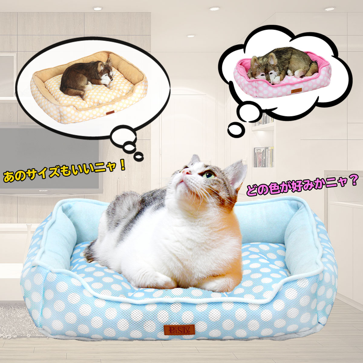 ポルカドットクラブ　ねこ　cat ポルカドットクラブねこcat