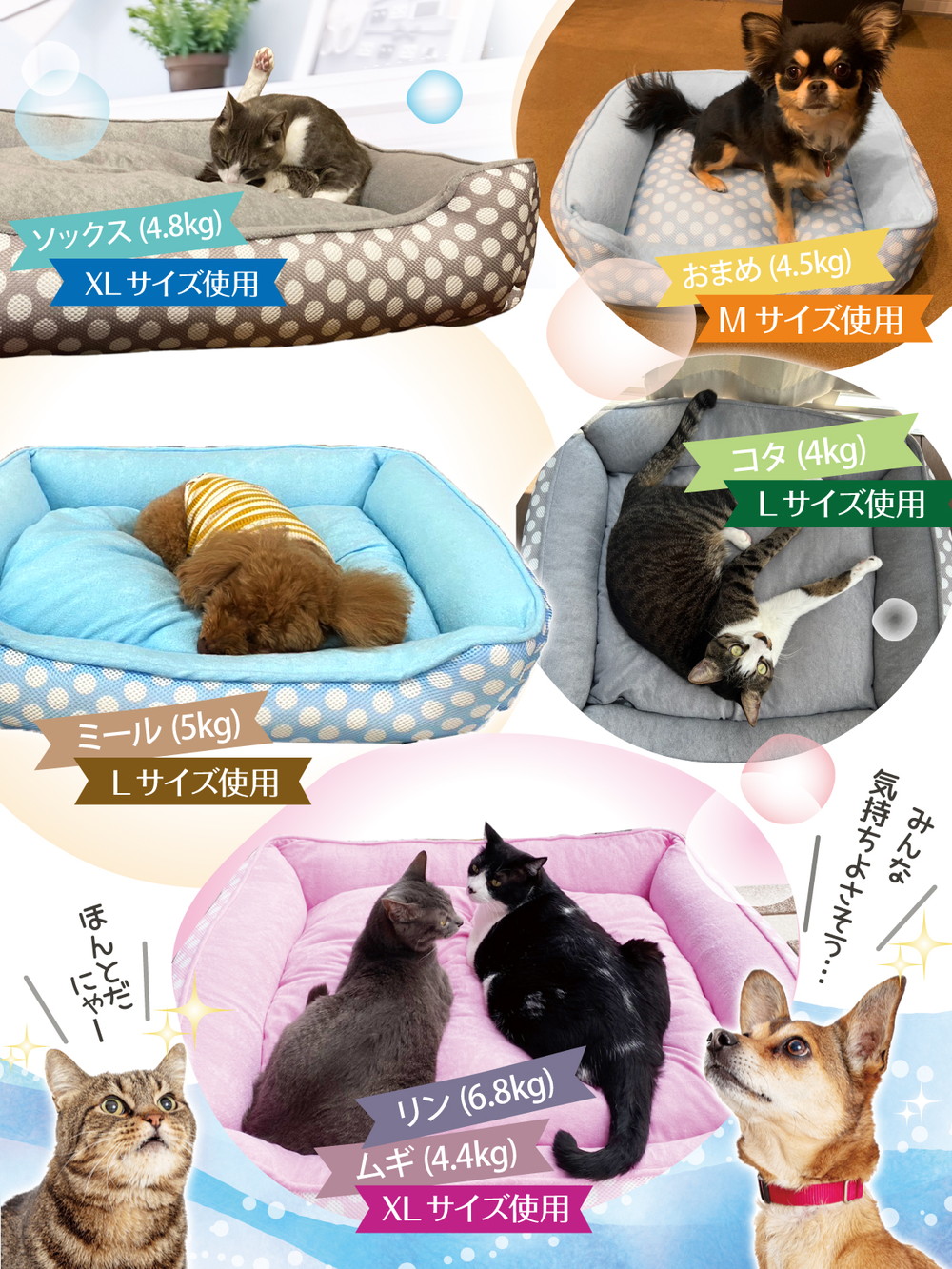 ペットベッド 犬 猫 ベッド マット 夏用 洗える カドラー メッシュ パイル カバー ふわふわ 春夏 2WAY かわいい おしゃれ ソファ ポルカドット スクエア型 Mサイズ