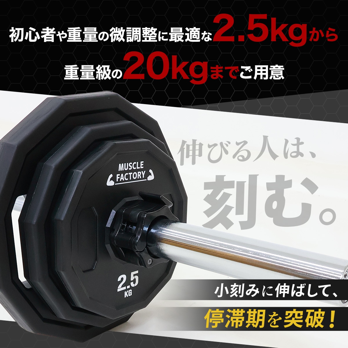 オリンピックバーベルプレート 10kg 2枚セット 50mm対応 ラバー