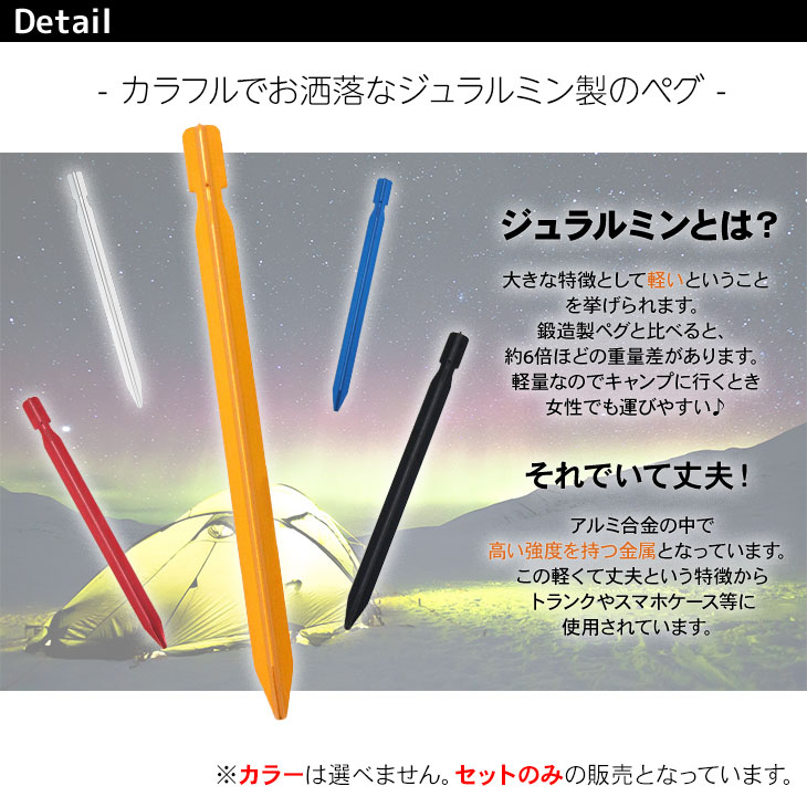 ジュラルミン ペグ テント タープ 固定具 BBQ キャンプ設営用具 20本セット 収納袋付き 18cmサイズ