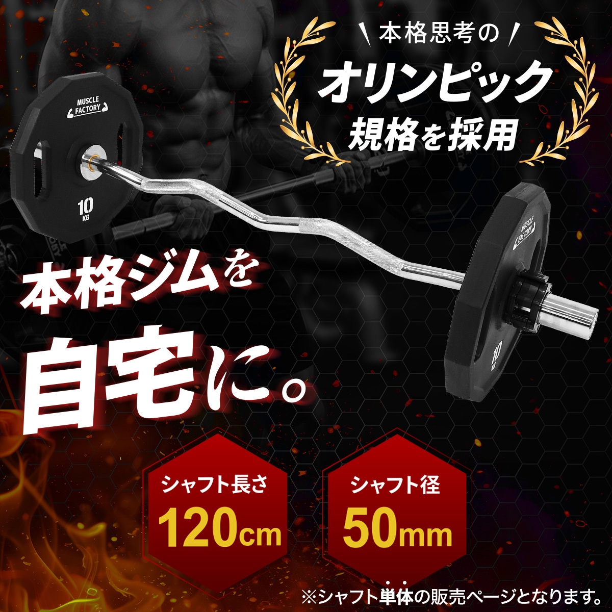 オリンピックEZバー シャフト 120cm 直径50mm 高剛性 トレーニング