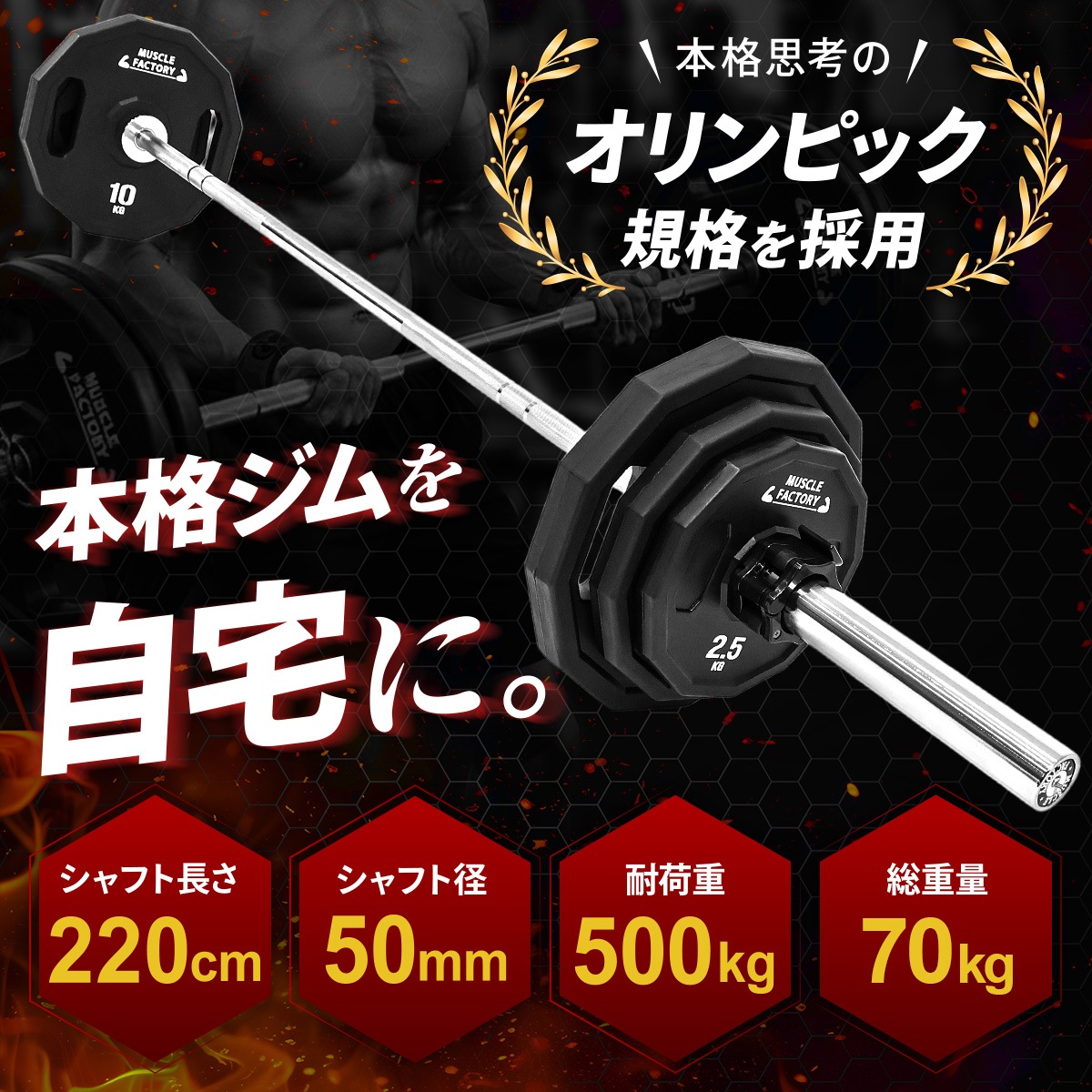 オリンピックバーベル 初心者向けセット 最大70kg バーベル プレート