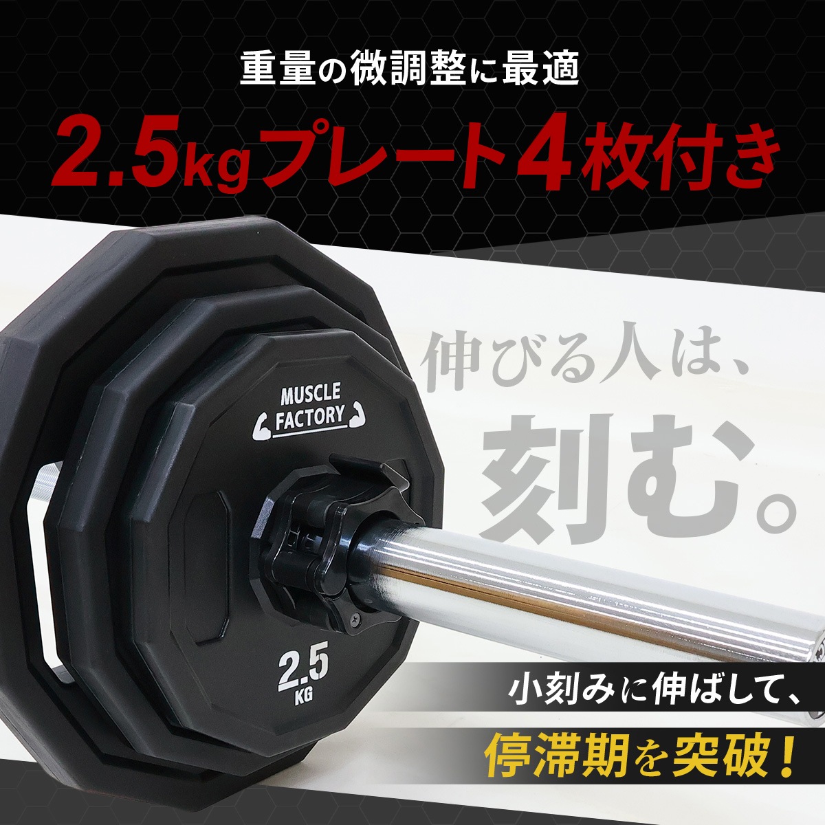 オリンピックバーベル 初心者向けセット 最大70kg バーベル プレート