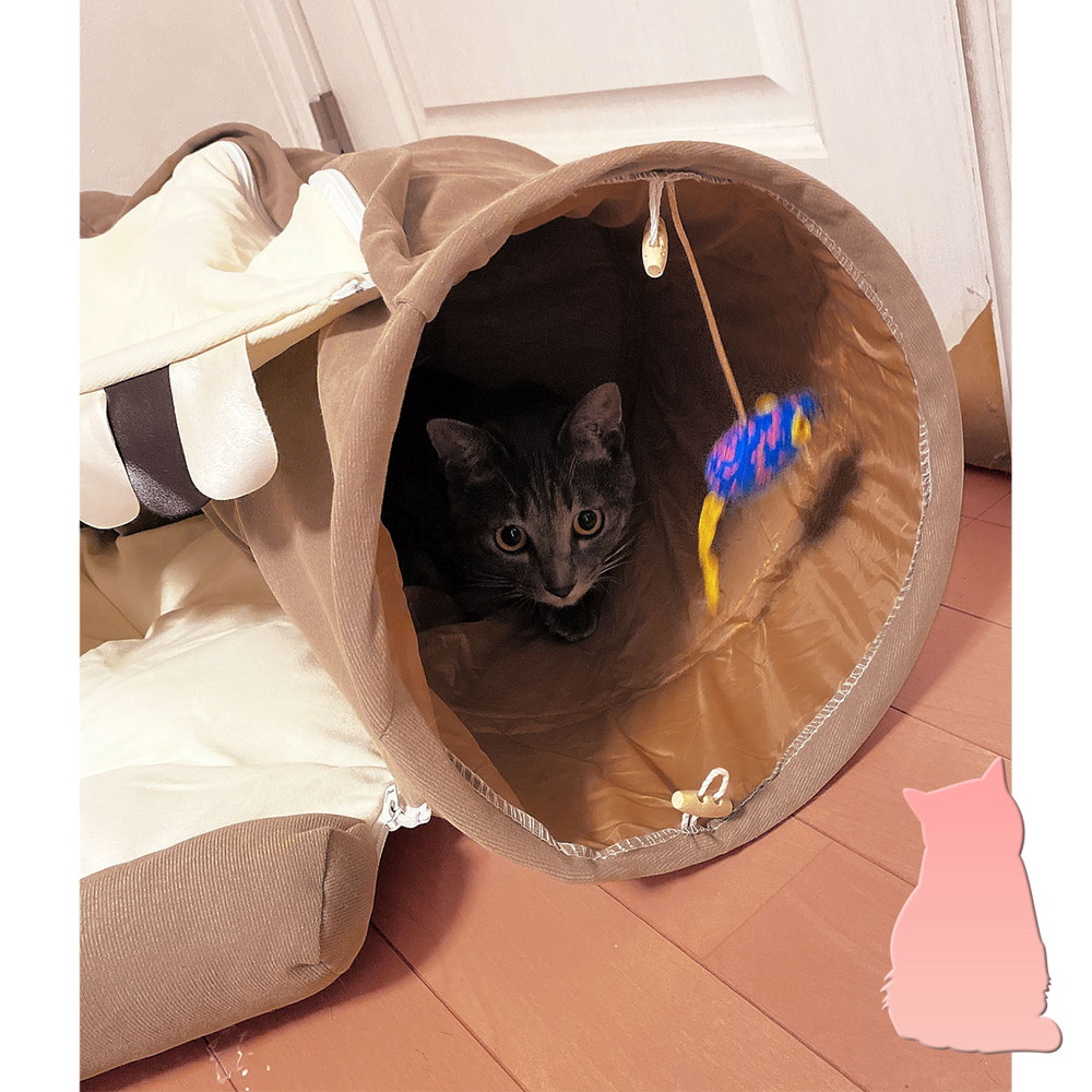 市場 Mzs ペット ベッド おもちゃ 猫 犬 プレイトンネルクーション マット トンネル 市場 Mzs ペット ベッド おもちゃ 猫 犬 プレイトンネルクーション マット トンネル