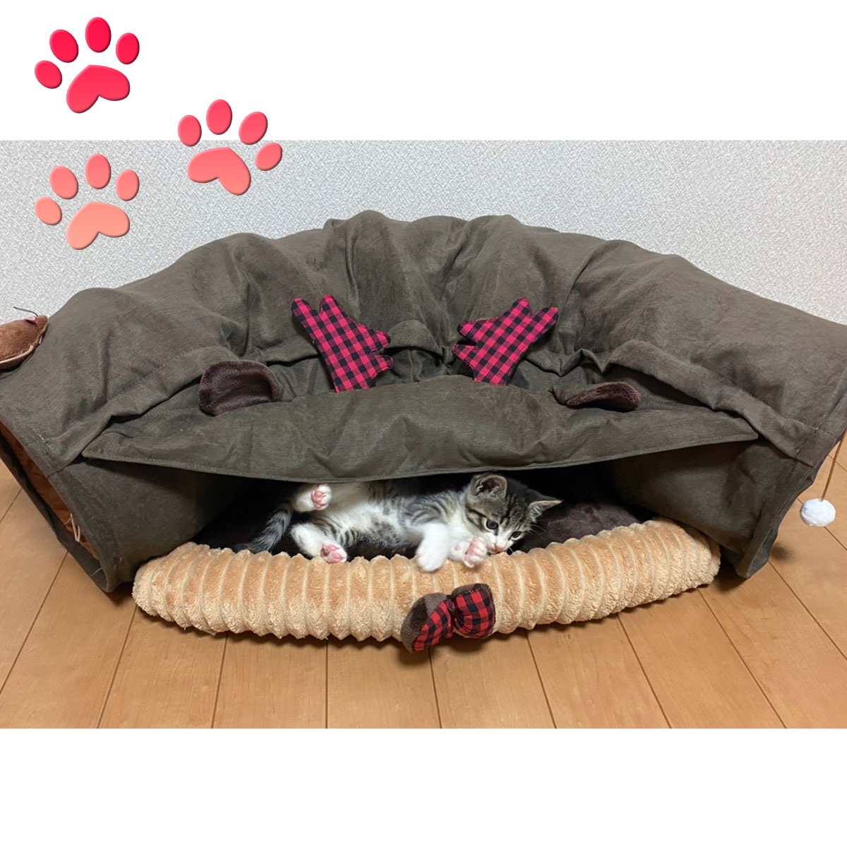 トンネル ペット ベッド 猫 おもちゃ 犬 マット プレイトンネル18 トンネル ペット ベッド 猫 おもちゃ 程よい 犬 マット プレイ