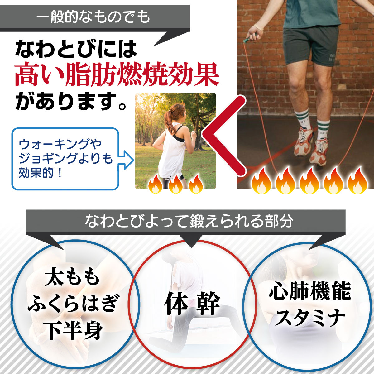 ジムロープ なわとび 極太 縄跳び バトルロープ トレーニング ロープ 筋トレ 体幹 重い 太いロープ 室内 ジム プログレード カバー付き 収納袋 直径38mm 3M 2.8M 袋セット