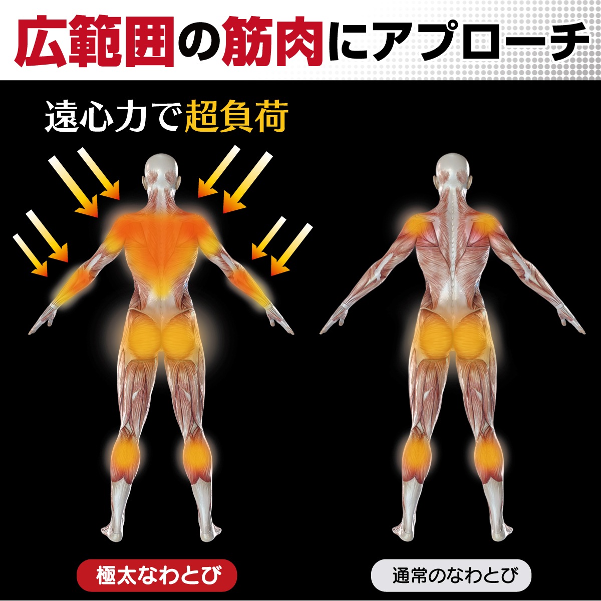 ジムロープ なわとび 極太 縄跳び バトルロープ トレーニング ロープ 筋トレ 体幹 重い 太いロープ 室内 ジム プログレード カバー付き 収納袋 直径38mm 3M 2.8M 袋セット