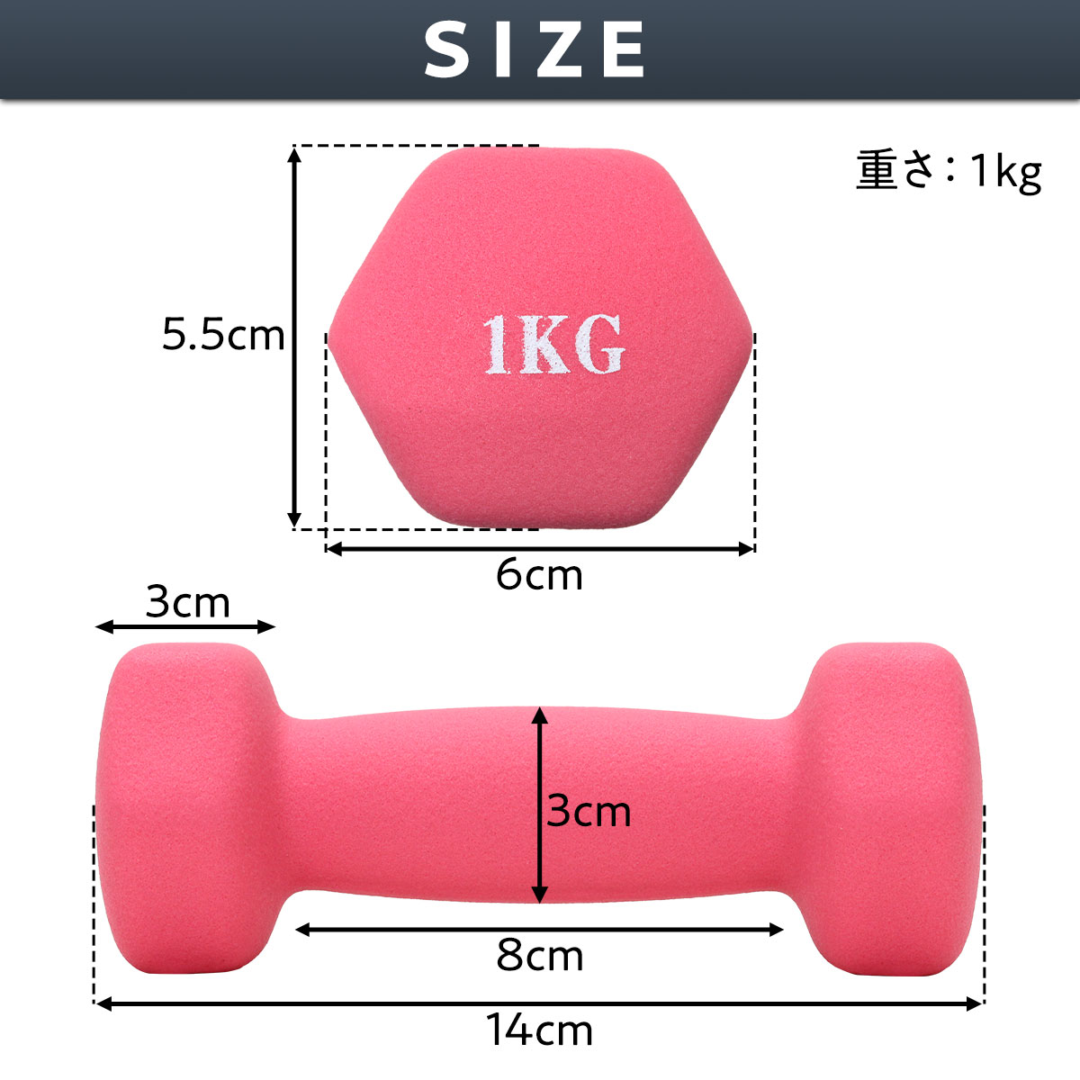 ダンベル 1kg 2個 セット カラー トレーニング 筋トレ 初心者