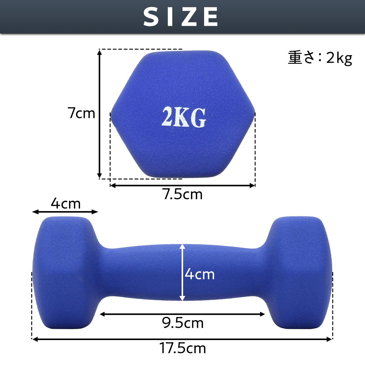 ダンベル 2kg 2個 セット カラー トレーニング 筋トレ 初心者