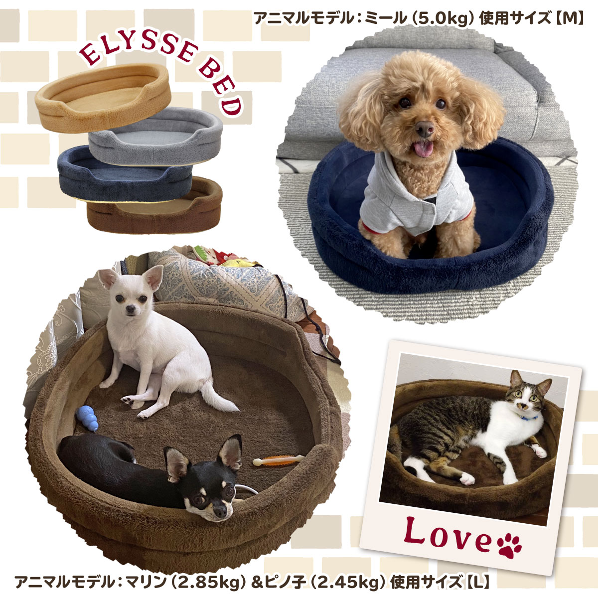 猫 ベッド ペットベッド 犬 冬 秋 マット カドラー 洗える ペット 暖かい おしゃれ 小型犬 中型犬 大型犬 もこもこ 多頭飼い 円形 エリッセタイプ XLサイズ