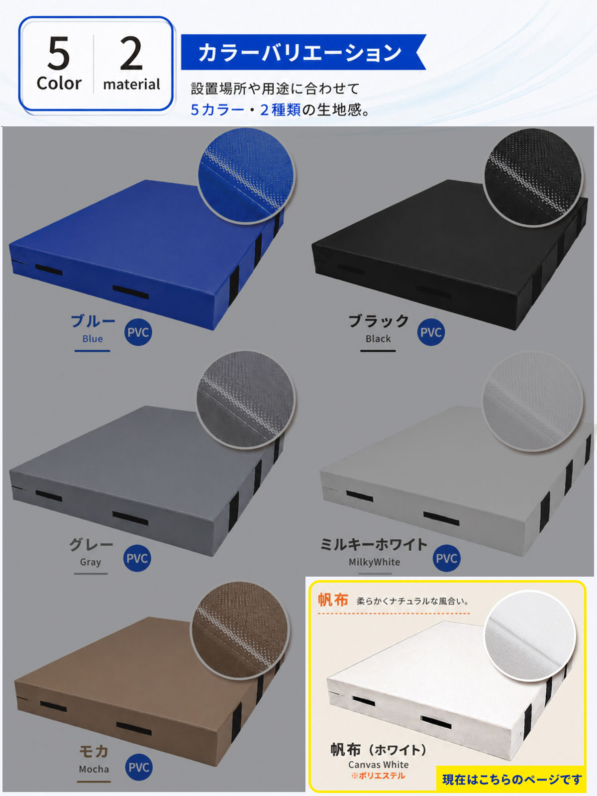 エバーマット 体操マット 極厚 帆布 カバー 高耐久 トレーニング 運動マット ボルダリング 跳び箱 学校 幼稚園 保育園 施設用 体育 送料無料 Lサイズ 200×150×20cm