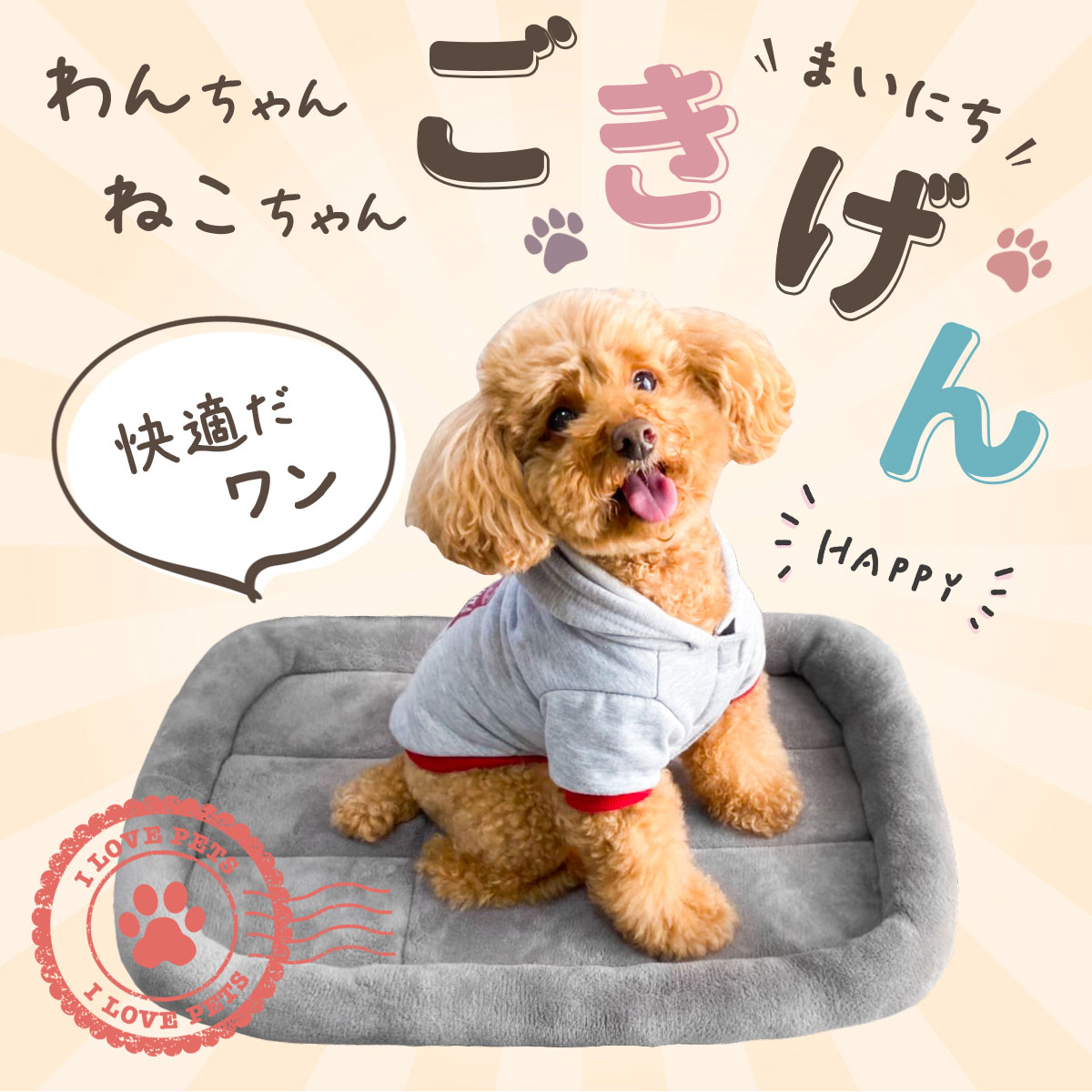 犬 ベッド ペットベッド 猫 冬 マット 洗える ペット 小型犬 中型犬 大型犬 クッション cat dog bed ゲージ ハウス ソファベッド ふわふわ シンプルベッド フランネルタイプ XLサイズ
