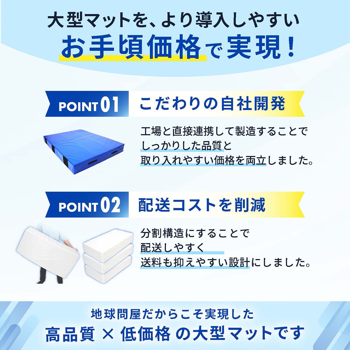 エバーマット 体操マット 極厚 PVC カバー トレーニング 運動マット ボルダリング 跳び箱 学校 幼稚園 保育園 施設用 体育 送料無料 Mサイズ 200×100×20cm