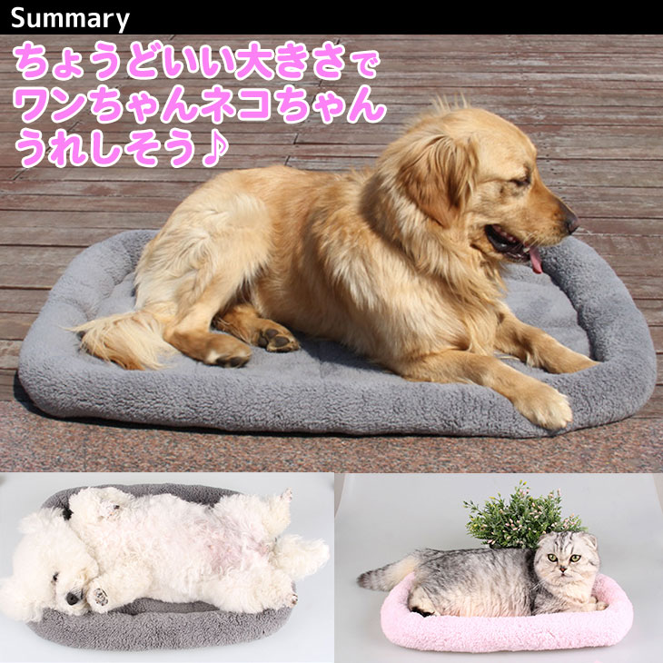 【訳あり】 シンプル ペット用ベッド・マット 犬 猫 Lサイズ