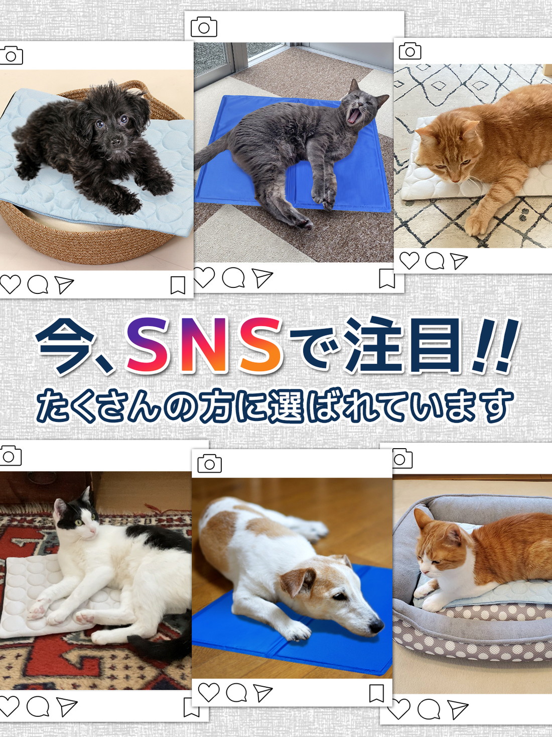 犬 ベッド 夏 冷却 ジェルマット カバー セット ペットベッド ひんやり マット 猫 接触冷感 暑さ対策 敷物 2WAY 洗えるマット Sサイズ