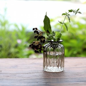 安土草多 | 趣佳[syuca.jp] オンラインショップ（通信販売）