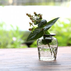 ������¿�ð����ޤ� Ȭ�� ��Ʃ���碌