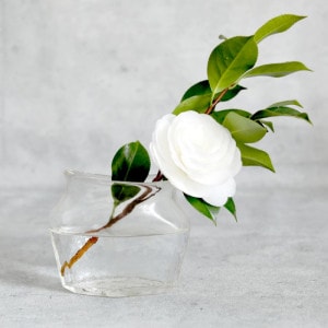 ������¿���̼��ִ�