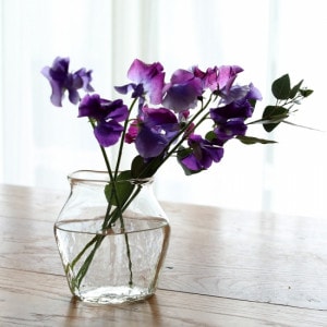 ������¿���̼��ִ� ��