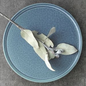 村上雄一 | 趣佳[syuca.jp] オンラインショップ（通信販売）