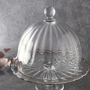 田井将博 | 趣佳[syuca.jp] オンラインショップ（通信販売）