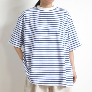 HARVESTYȾµܡT WHITEBLUE