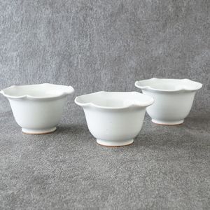 ��洲�ˡ��� �ز־�ȭ