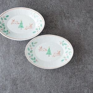 大井萌子さんの色絵 更紗蓋物 小 カメ・新品未使用品 大井萌子 | 趣佳[syuca.jp] オンラインショップ（通信販売）