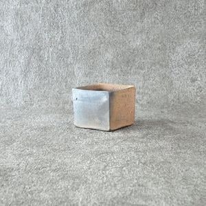 ʿ���Ρ�ú�� �� ������