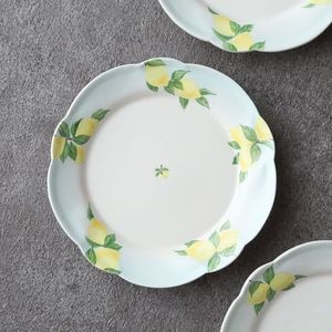 6寸皿(直径 18cm ~) | 趣佳[syuca.jp] オンラインショップ（通信販売）