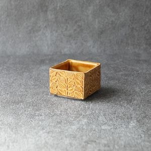 岳中爽果 | 趣佳[syuca.jp] オンラインショップ（通信販売）