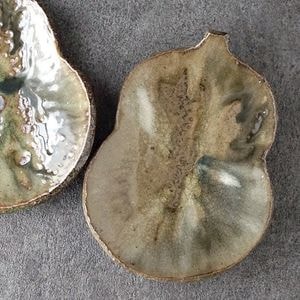 ʿ���Ρó޳�ɻ��