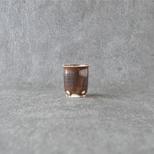 ���Ŀ򾼡�Ŵ��������