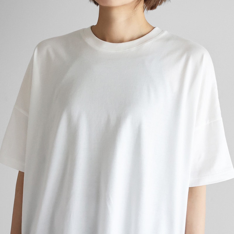 HUIS in house��SUVIN COTTON Ⱦµ���������磻�ɥ��åȥ���HF ��