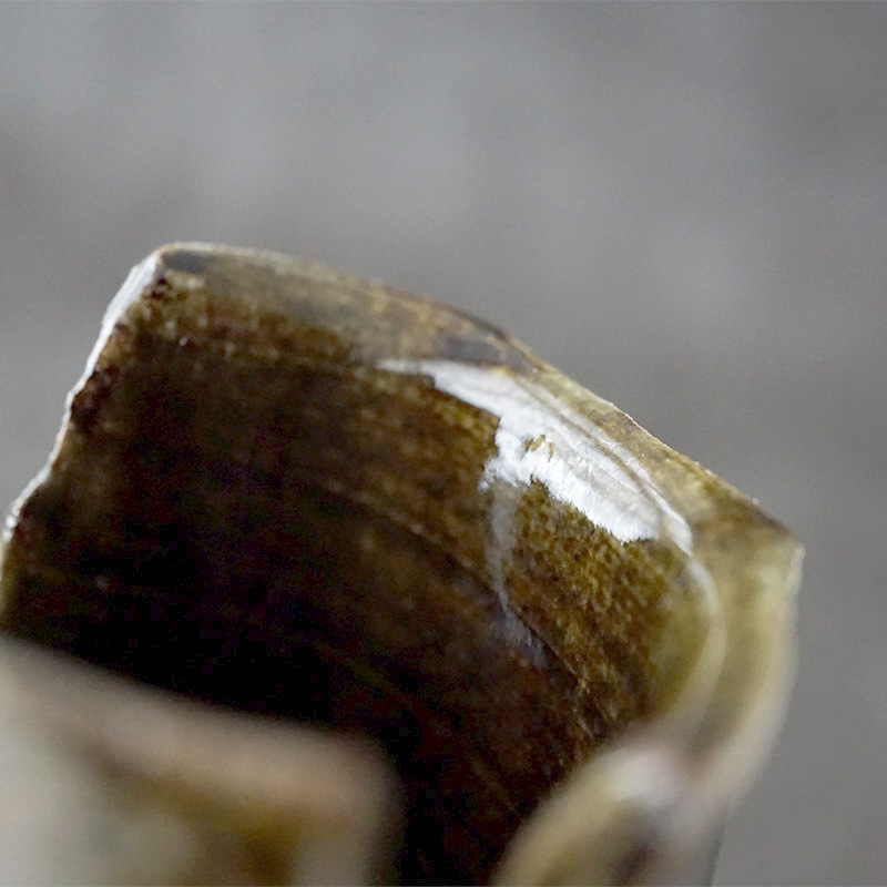 ʿ���Ρó�ʬ �̼������