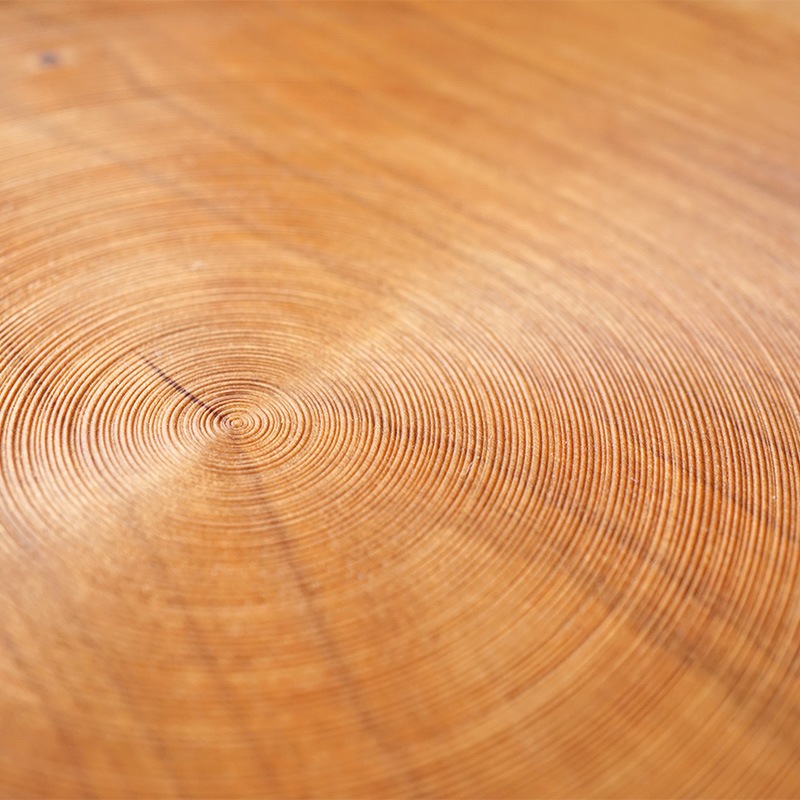 ̾��ϩ�Ѳ��������Ω�� 1�� CHE �����꡼ ������