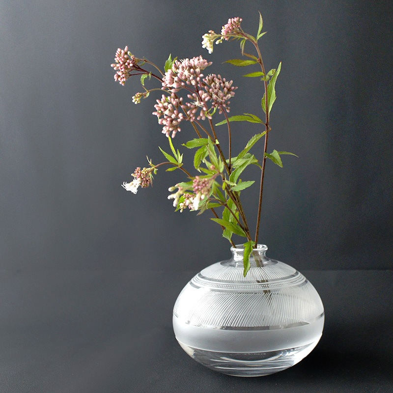 ���Ĳ»ҡ�IZUMI �ִ� B