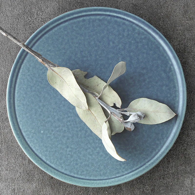 ¼��ͺ��øп忧�ץ졼�� 25cm OV300