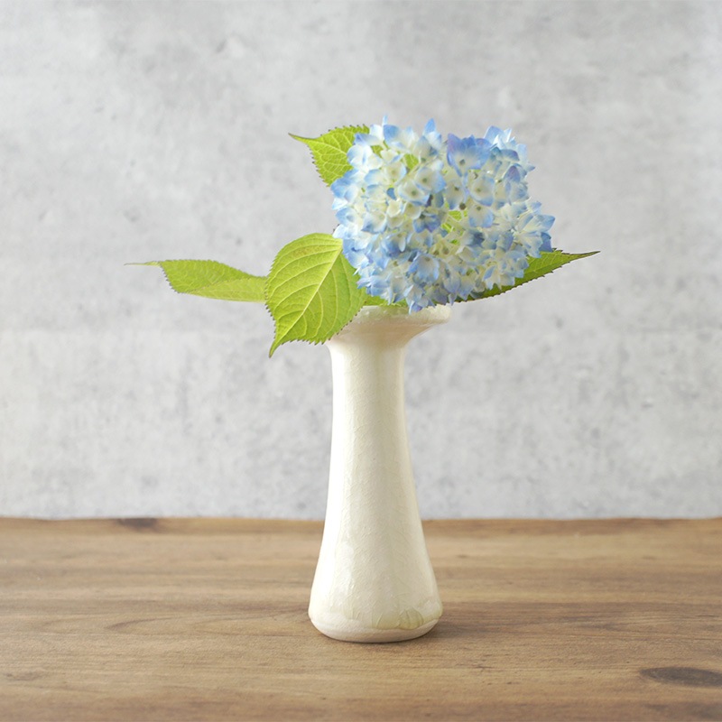 ��ƣʸ�ð��ؤ��� �����ɥ�ۥ���� ��