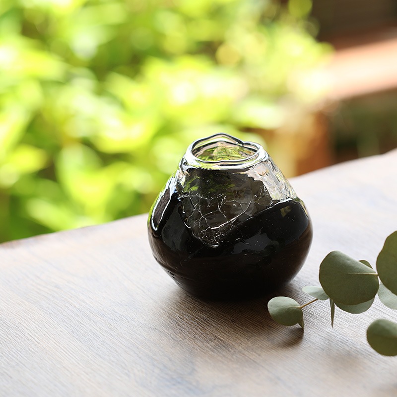 errer 木の根 筆記体 植物標本 アンティーク 樹脂標本 Amazon.co.jp: errer 根っこ付き水草 筆記体 植物標本