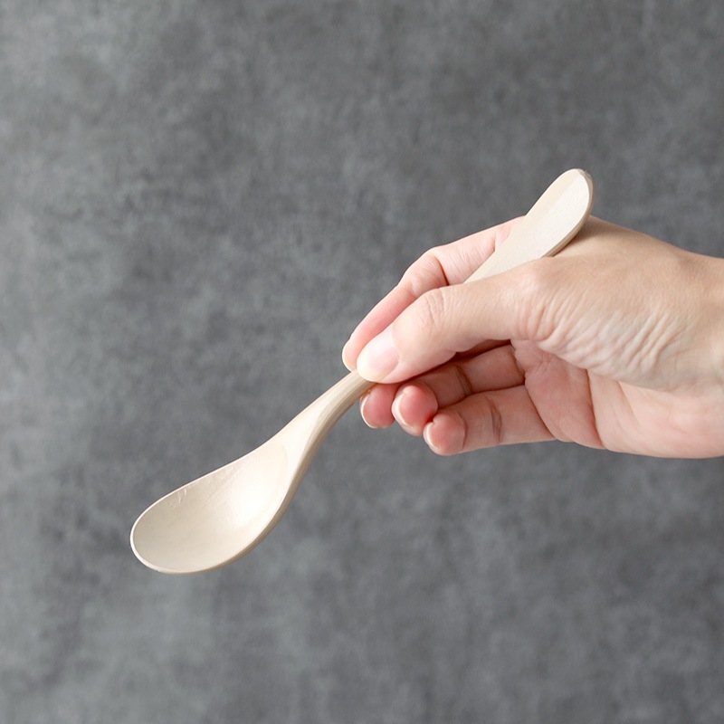 ݥϥڹˡOIKAWA spoon