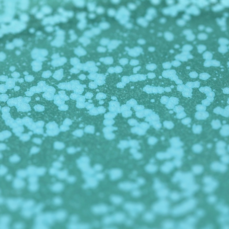 ���ܤᤰ�ߡåȥ륳�إ����Х뻮